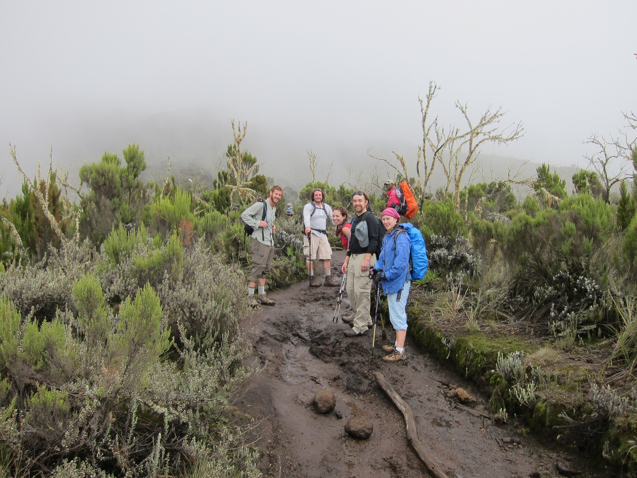 Heather/Moorland zone hikes