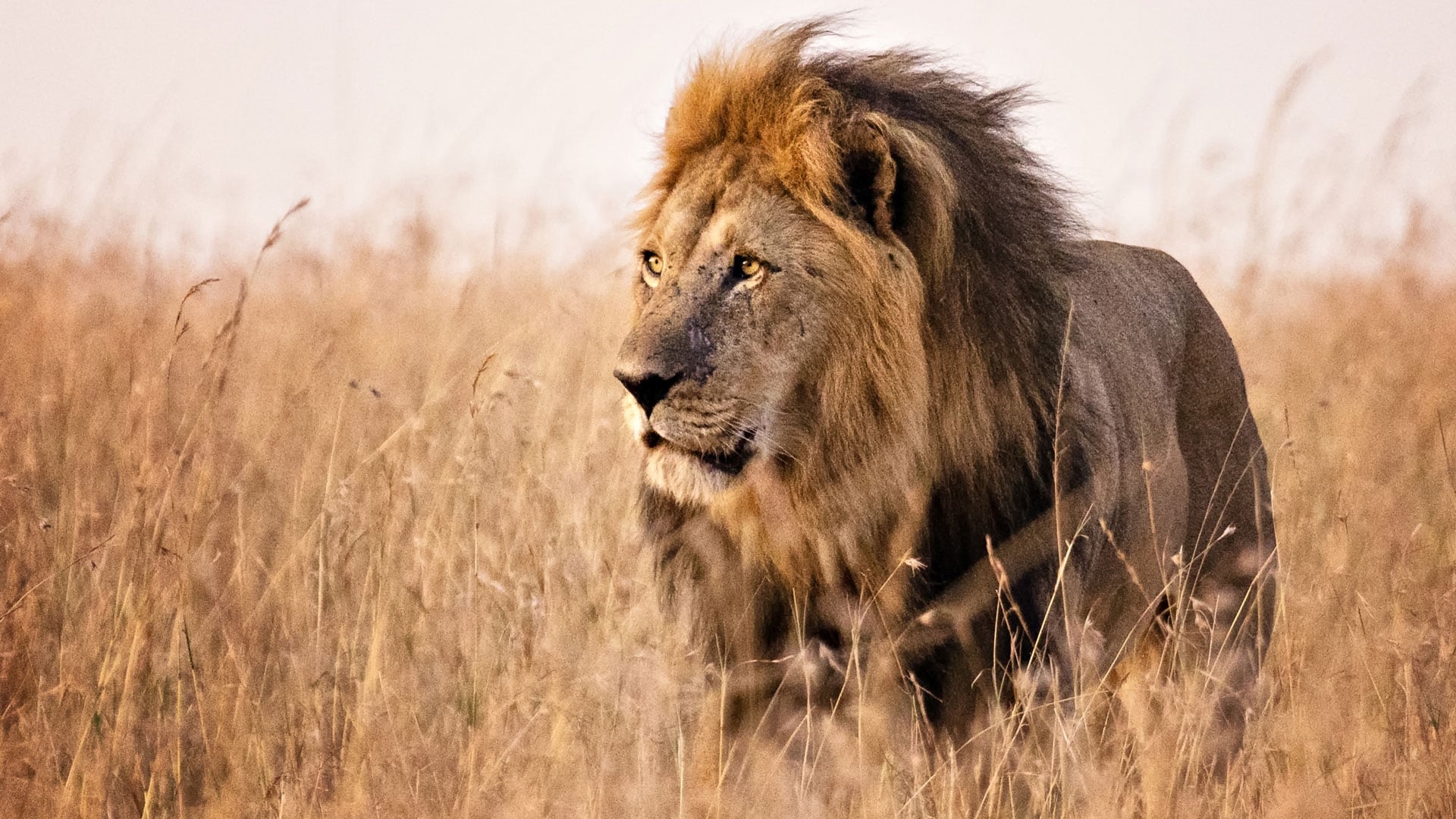 7 Days Kenya – Tanzania Safari