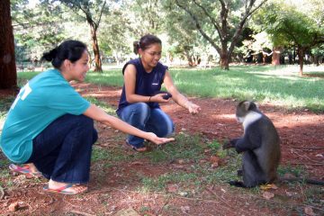 Nairobi Arboretum