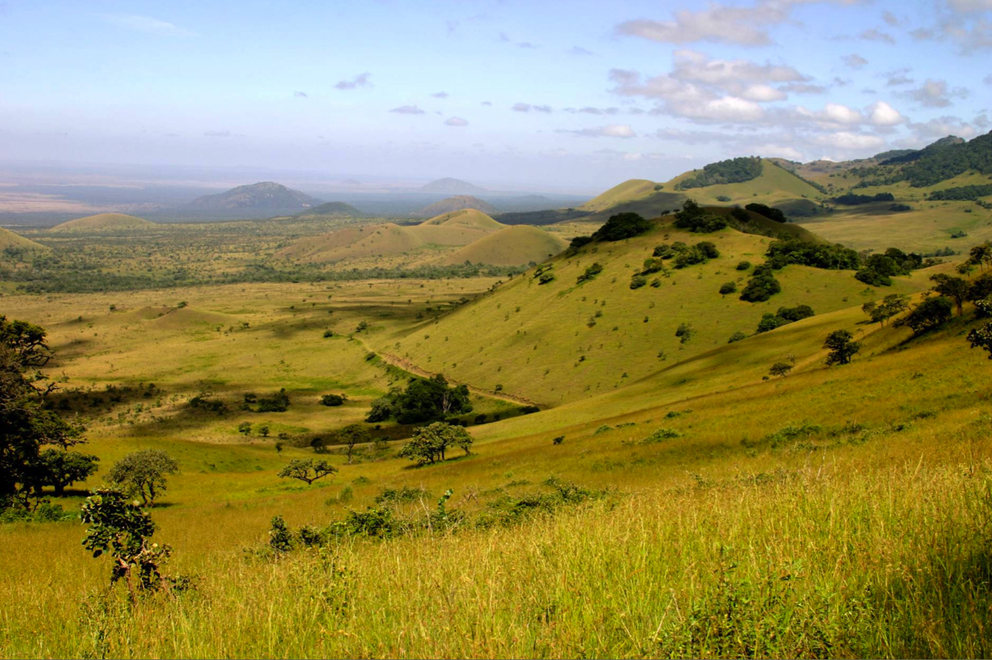 Green Chyulu Hills