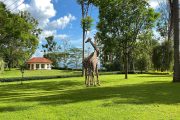 Kilemakyaro Mountain Lodge