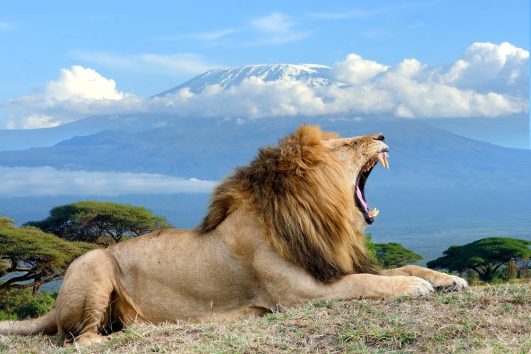 Amboseli safari 3 days