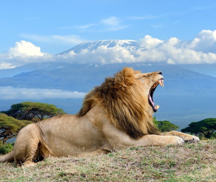 Amboseli safari 3 days