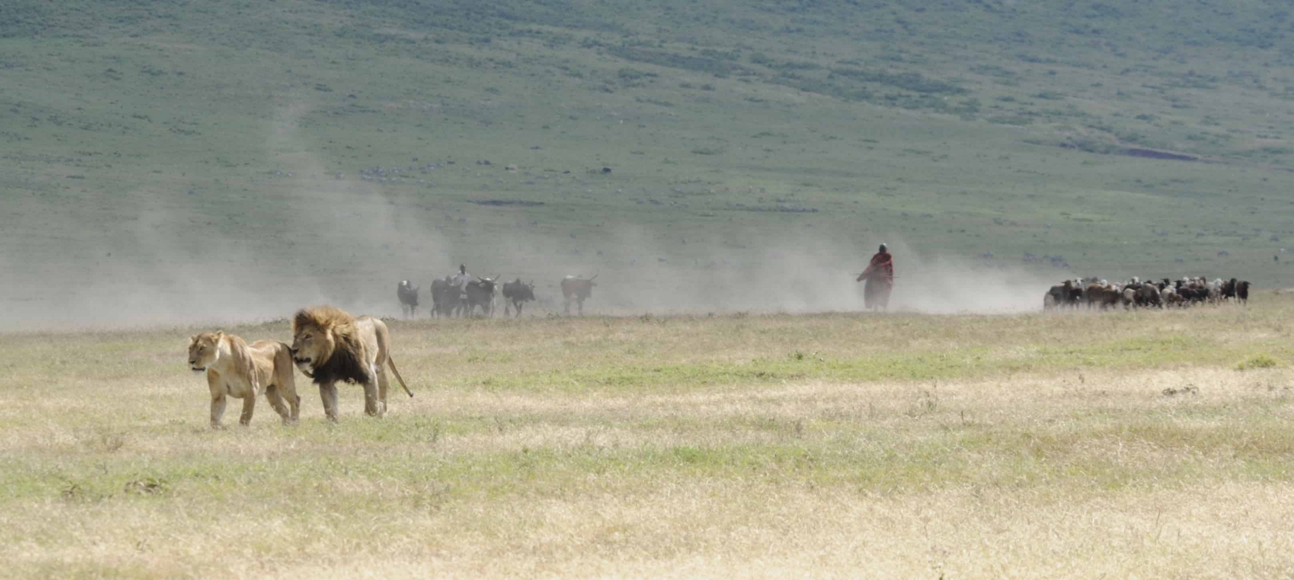 Ngorongoro Crater