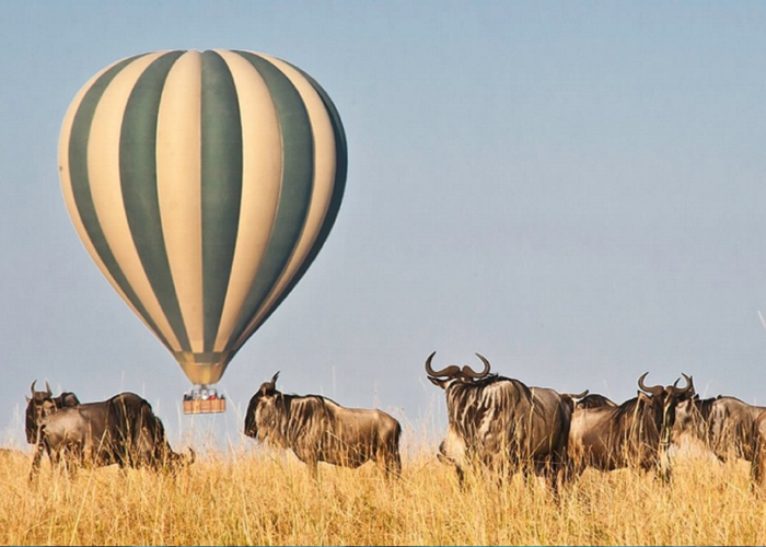 Serengeti balloon safari