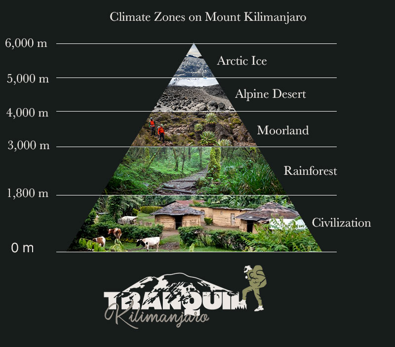 Kilimanjaro's Climate Zones