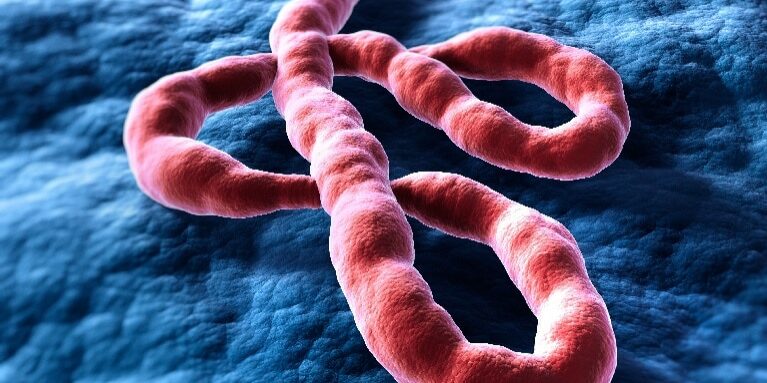 Ebola Virus