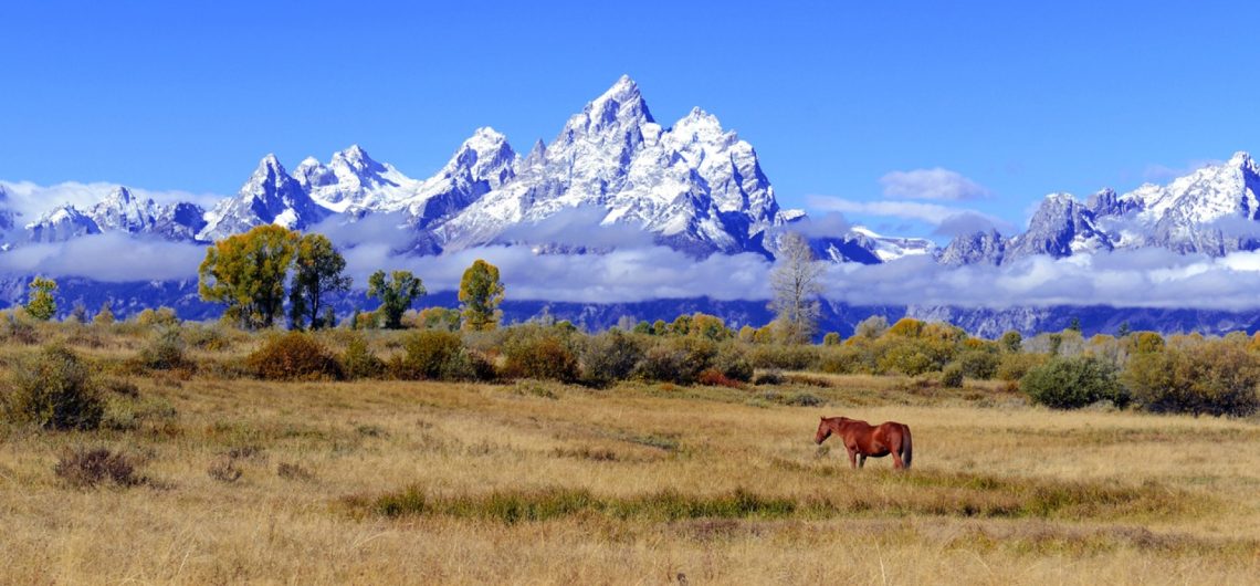 Grand Teton