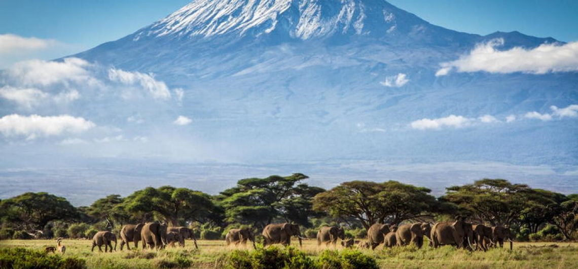 Mount Kilimanjaro facts