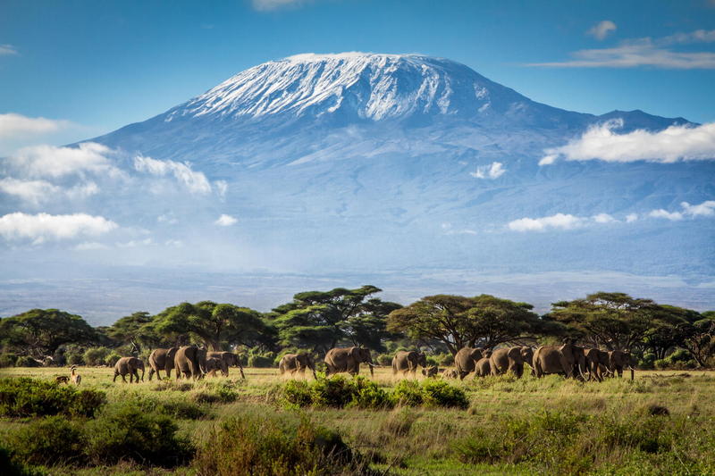 Interesting facts about Mount Kilimanjaro that will captivate you