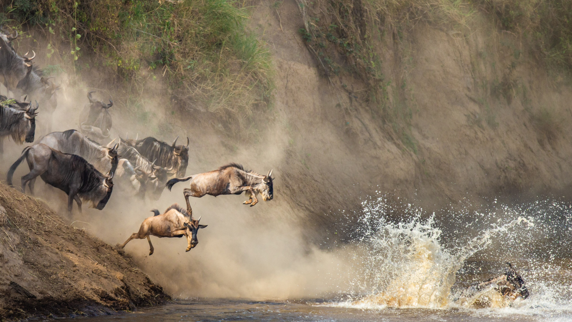 7 Days Masai Mara & Serengeti Wildebeest Crossing Safari