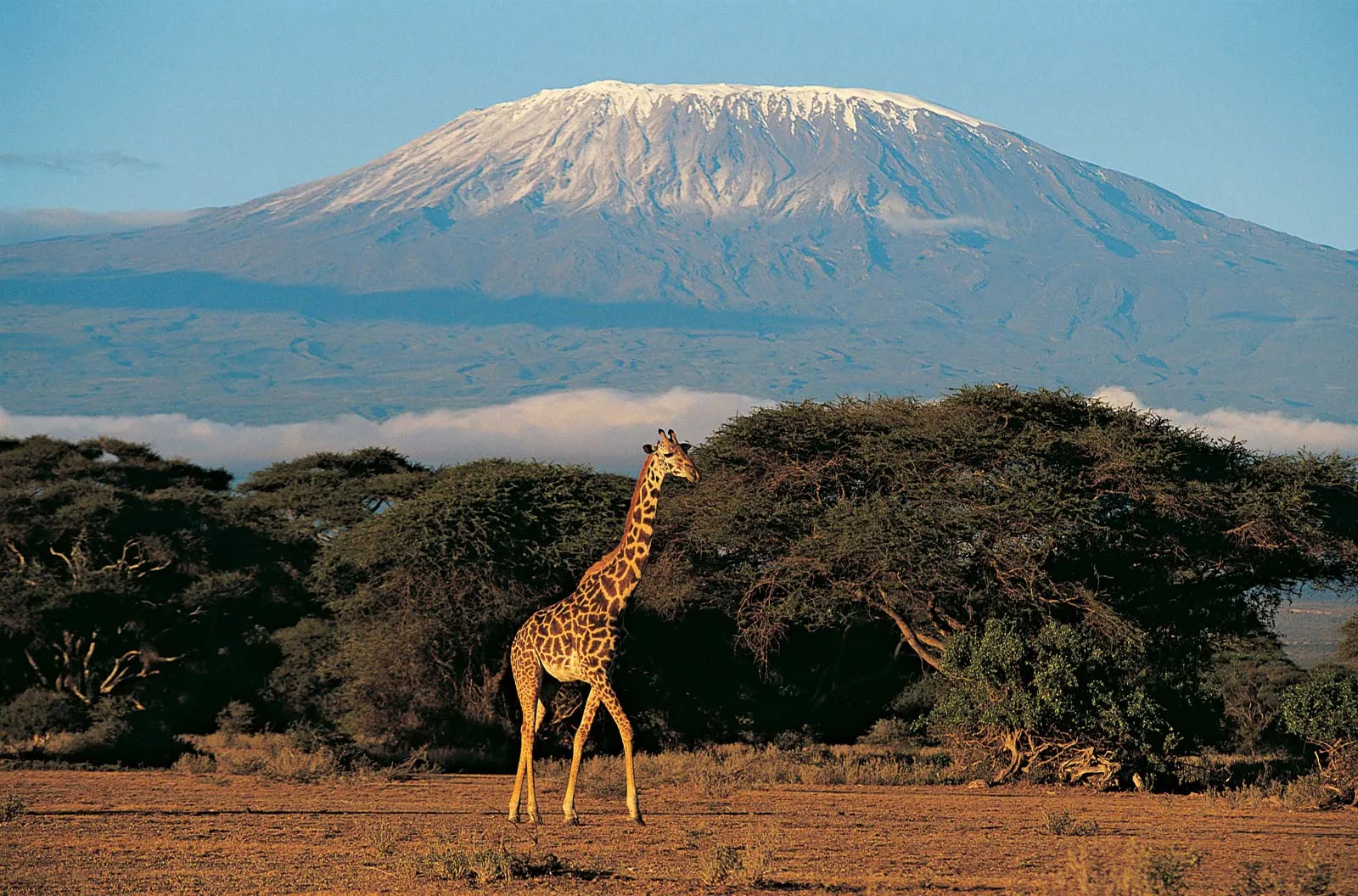 Wonders of the World, Kilimanjaro