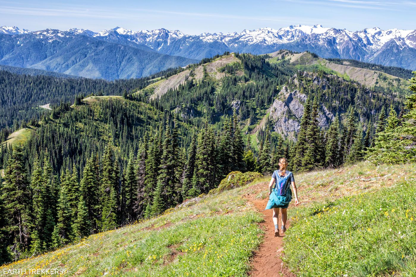 Olympic national Park hike