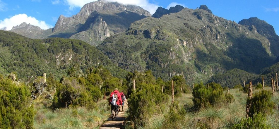 Rwenzori Mountains location
