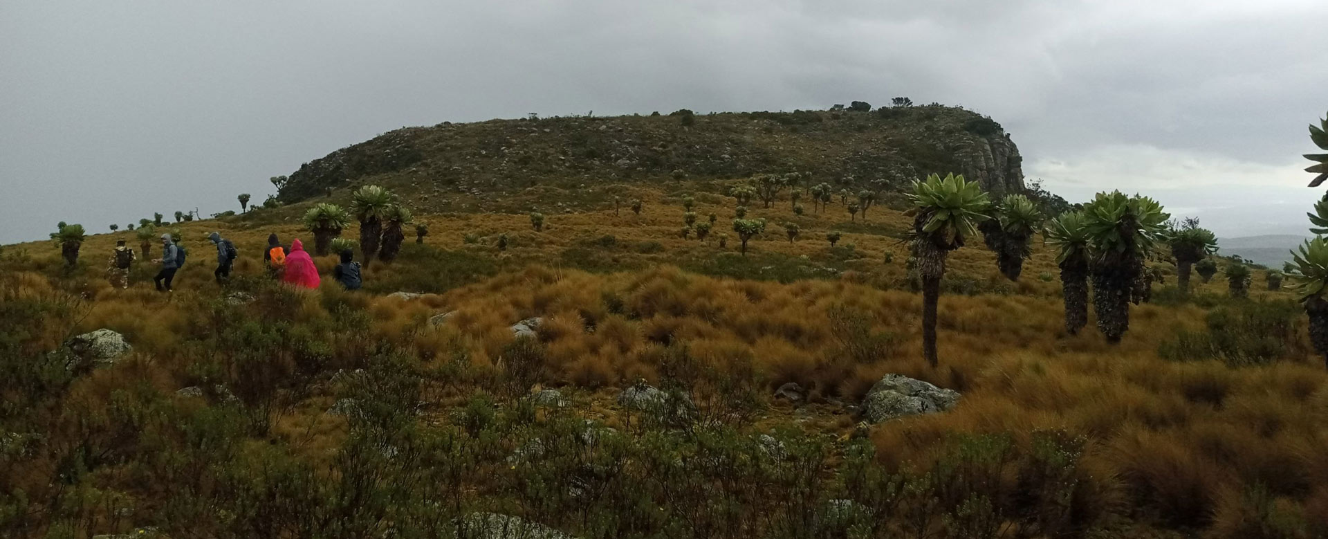 Aberdares Table Mountain – Aberdare Range