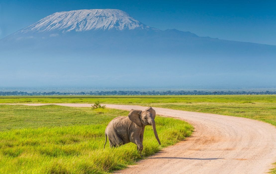 Amboseli and masai Mara Safari 5 days