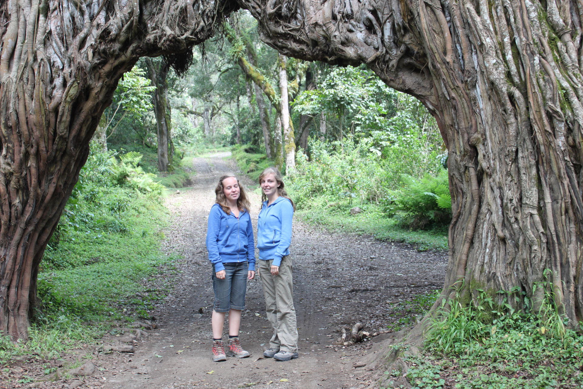 Arusha National Park Day Tour