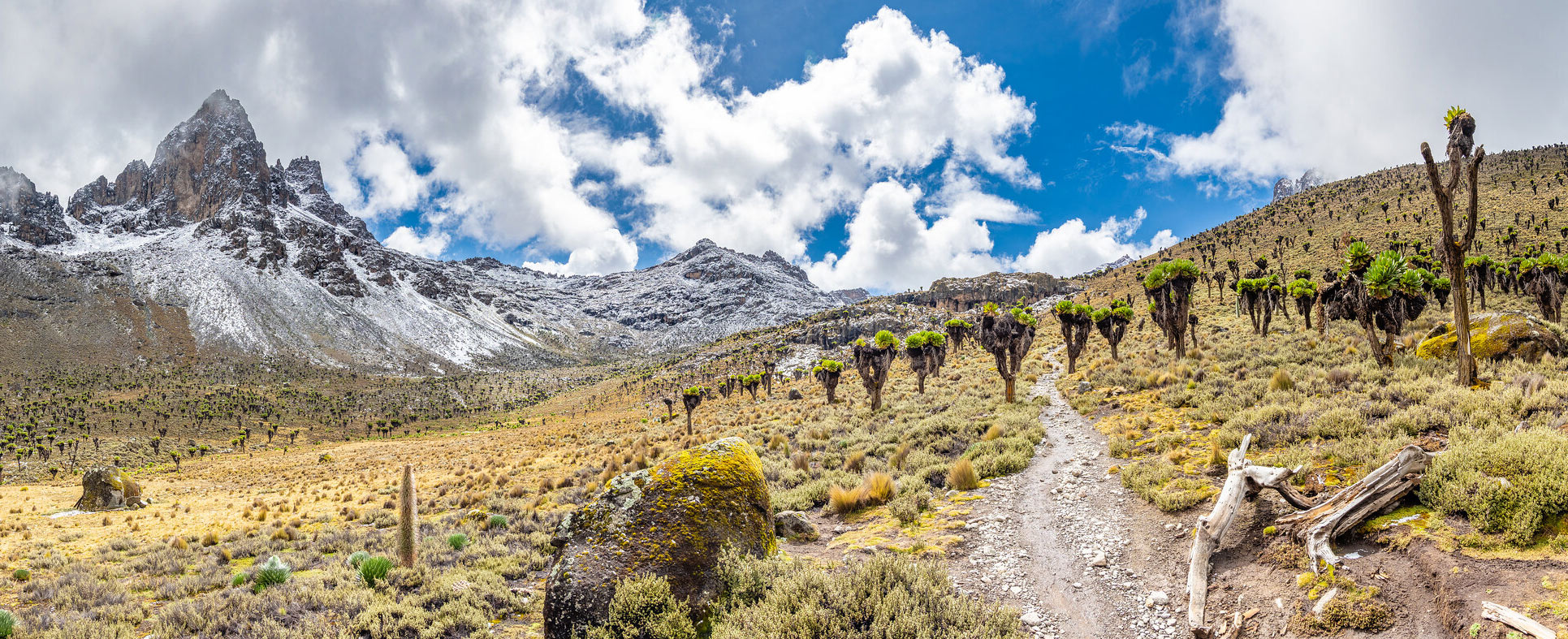 Best Time To Climb Mount Kenya