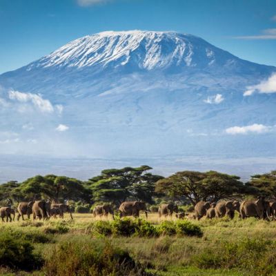 Interesting facts about Mount Kilimanjaro that will captivate you to climb