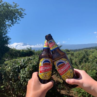 Best Tanzanian Beers to refresh after climbing Mount Kilimanjaro