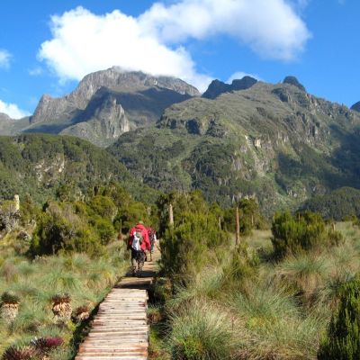 Where are the Rwenzori Mountains located?