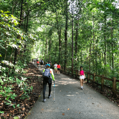10 amazing highlands in Singapore that you must visit