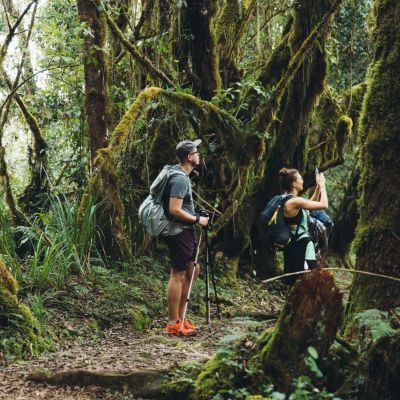 Climbing Kilimanjaro is Easy Travel (Not Hard)