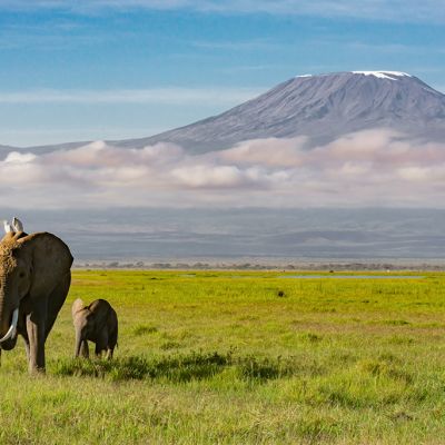 Best season to climb Kilimanjaro and go on safari