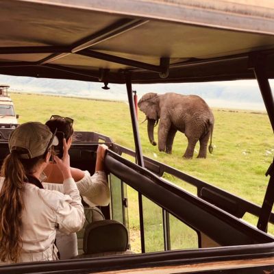 10 good reasons to go on a Tanzanian safari after climbing Mount Kilimanjaro