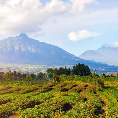 Mount Karisimbi and a hike to the highest peak in Rwanda