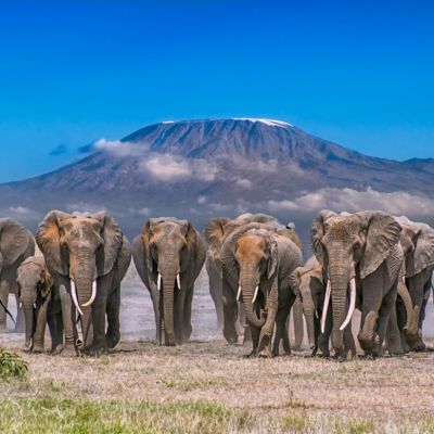 Is Mount Kilimanjaro in Kenya or Tanzania?