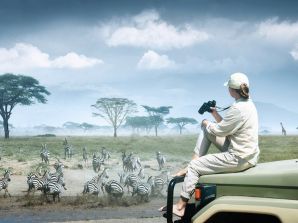 Serengeti Map of the Wildebeest Migration – Tracking the Herds