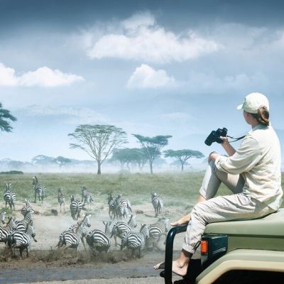 Serengeti Map of the Wildebeest Migration – Tracking the Herds