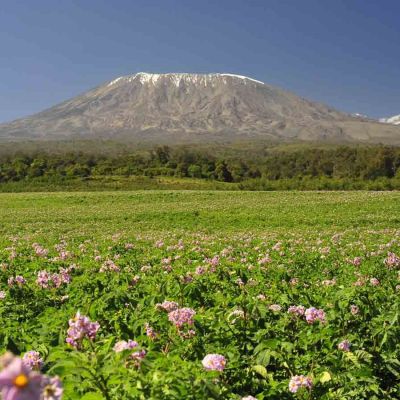 Tell the world Kilimanjaro is ours: Historians urged to reclaim Mt Kilimanjaro narrative