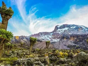 7 Day Kilimanjaro Treks: The Best 1 Week Routes for Success