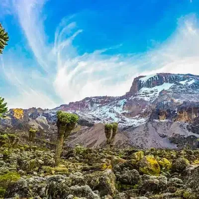 7 Day Kilimanjaro Treks: The Best 1 Week Routes for Success