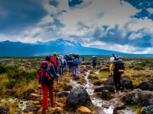 Longer, higher: Why an 8-9 Day Kilimanjaro Trek is the Ultimate Success Secret