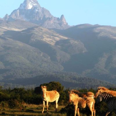 Mount Kenya National Park entry fees