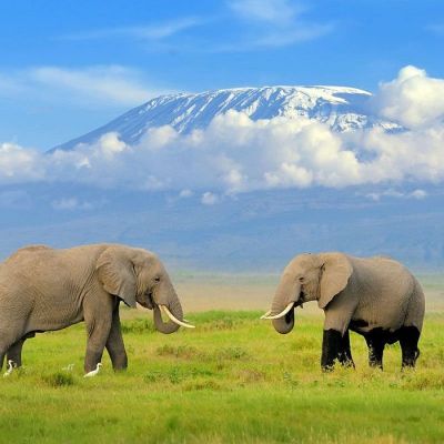 Why Kenya’s Amboseli National Park is the best place to take a photo of Kilimanjaro