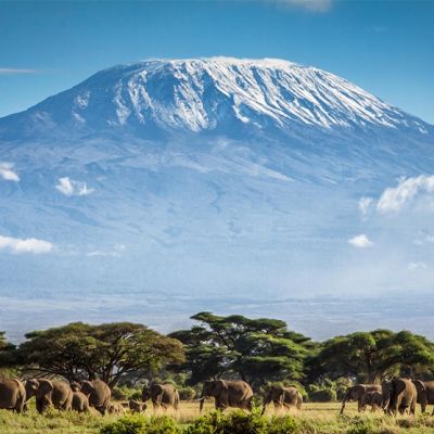 About the name Kilimanjaro. Who named it, what does it mean and how did the mountain get its name?