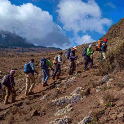 Do You Need a Permit to Climb Kilimanjaro?