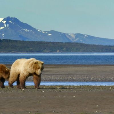 The Alaska Range: A Majestic Mountain Range in the Wild Wild Alaska