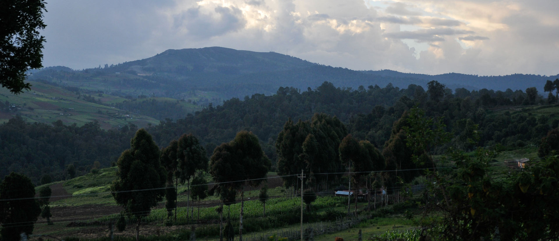 Cherang’any Hills