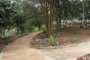 City park Nairobi