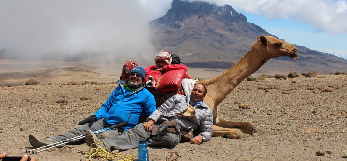 The 4 most unusual Animal Sightings on Mount Kilimanjaro