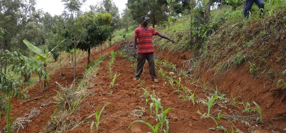 Conservation in Tanga, Lushoto and kilimanjaro