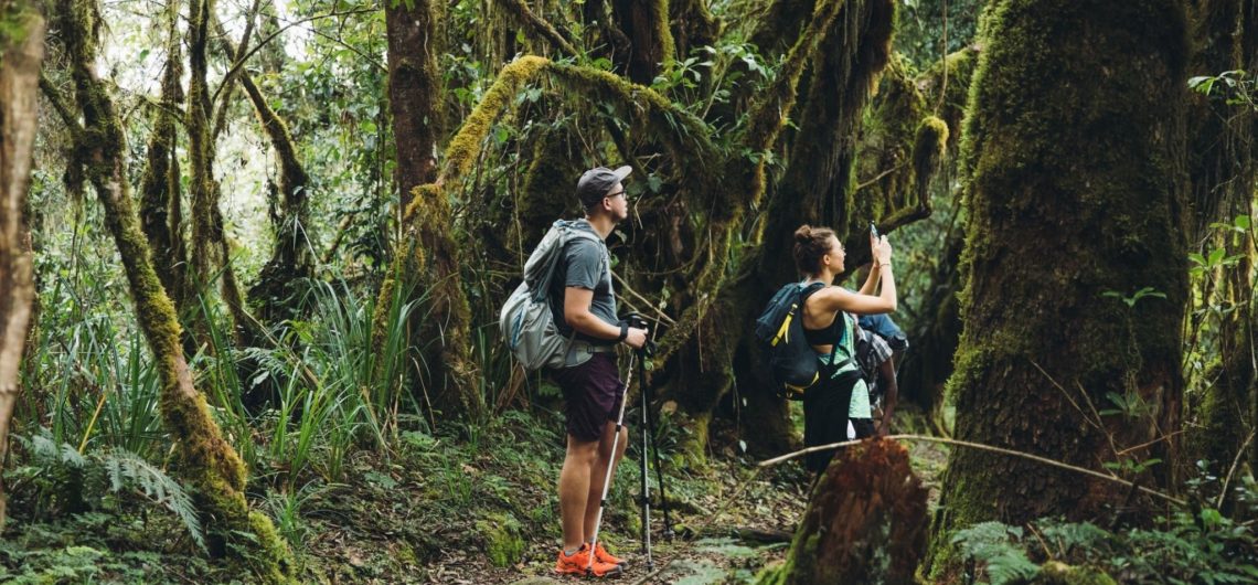 Easy Travel Kilimanjaro