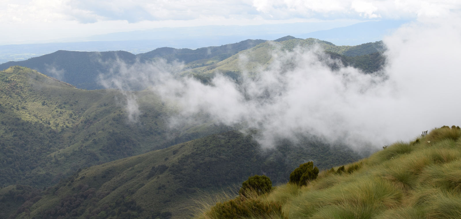 Elephant Hill, Aberdares Hike