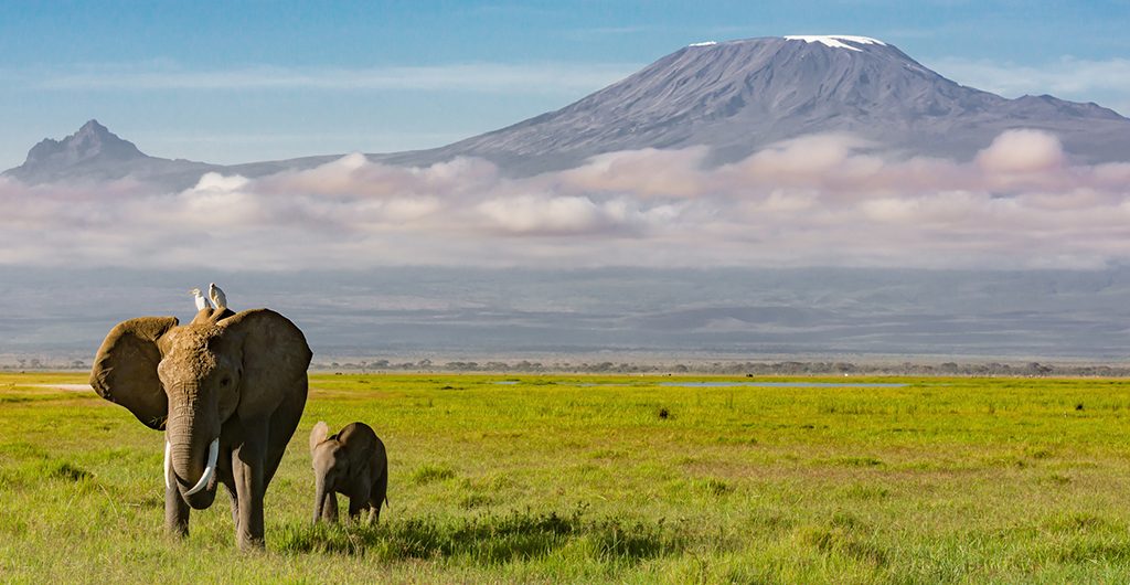 Best time for climbing Mount Kilimanjaro and going on safari in Tanzania
