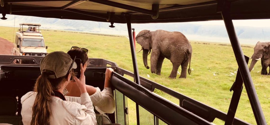 Enjoying a safari after climbing Kilimanjaro